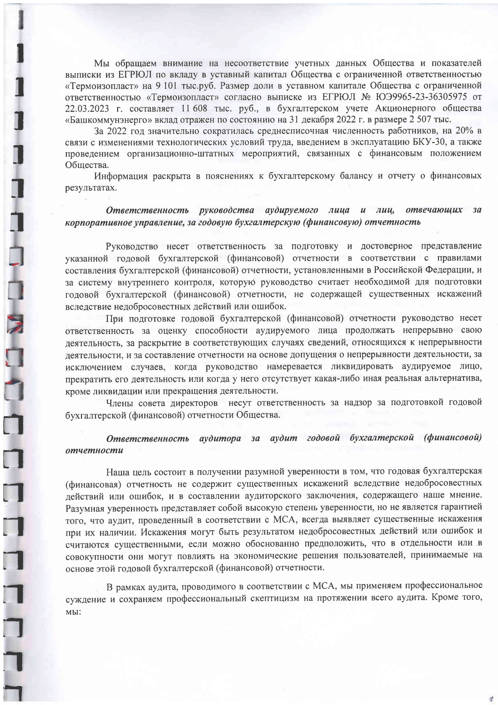 Аудиторское заключение за 2022-3